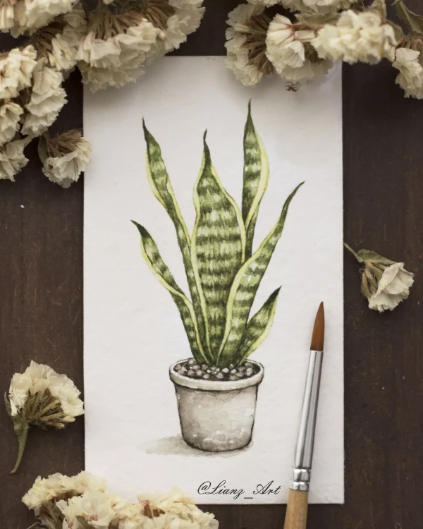 Little sanseveria in watercolor – Aquarell von Lianzhi Artist